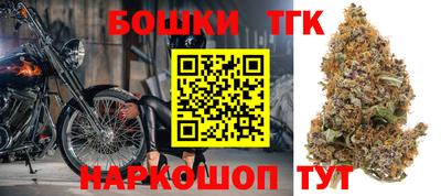 тгк Кингисепп
