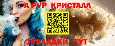 тгк Кингисепп