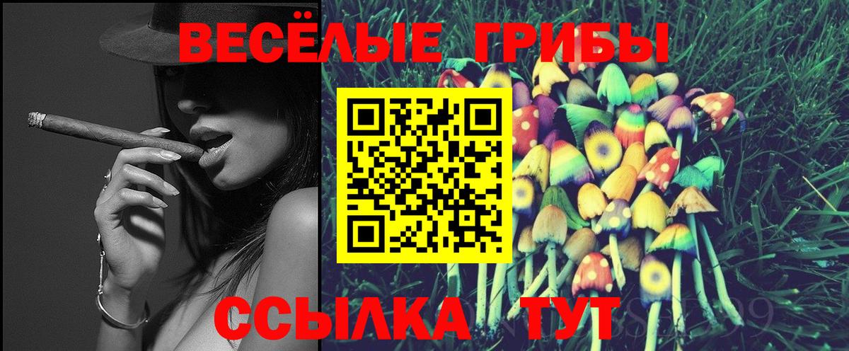 Псилоцибиновые грибы прущие грибы Крымск
