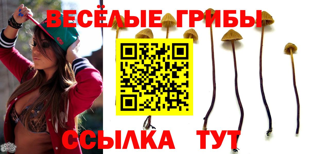 Галлюциногенные грибы мухоморы  Вход с VPN  Крымск 